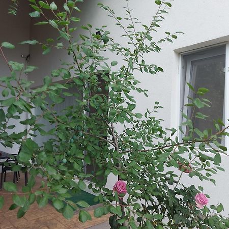 Villa Romelia - Select Apartments Vadu Εξωτερικό φωτογραφία